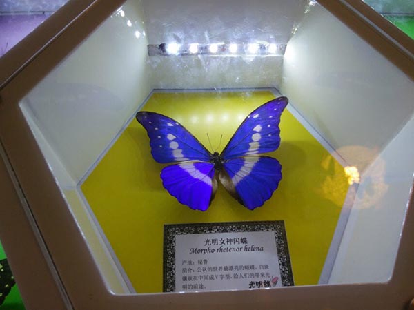 2014年公司員工活動(dòng)——“蝶谷-靖港古鎮(zhèn)- 銅官窯一日自駕游” 2014年公司員工活動(dòng)——“蝶谷-靖港古鎮(zhèn)- 銅官窯一日自駕游”